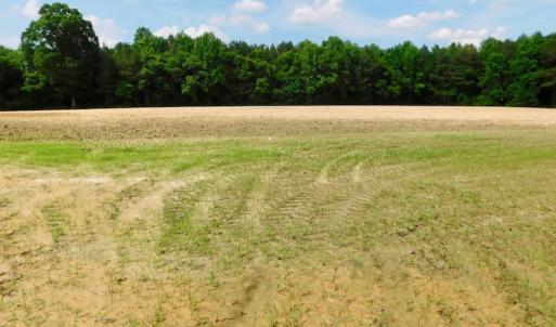Photo of UNDER CONTRACT!  22.63 Acres of Farm and Hunting Land For Sale in Wilson County NC!