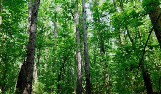 Photo of UNDER CONTRACT!  22.63 Acres of Farm and Hunting Land For Sale in Wilson County NC!