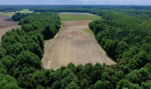 Photo of UNDER CONTRACT!  22.63 Acres of Farm and Hunting Land For Sale in Wilson County NC!
