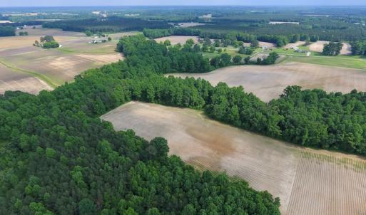 Photo of UNDER CONTRACT!  22.63 Acres of Farm and Hunting Land For Sale in Wilson County NC!