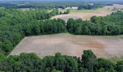 Photo of UNDER CONTRACT!  22.63 Acres of Farm and Hunting Land For Sale in Wilson County NC!