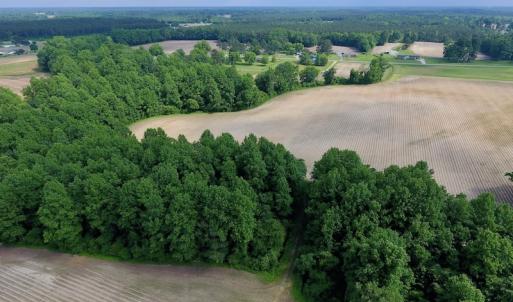 Photo of UNDER CONTRACT!  22.63 Acres of Farm and Hunting Land For Sale in Wilson County NC!