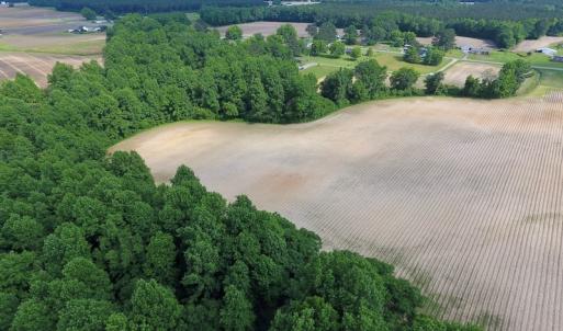 Photo of UNDER CONTRACT!  22.63 Acres of Farm and Hunting Land For Sale in Wilson County NC!