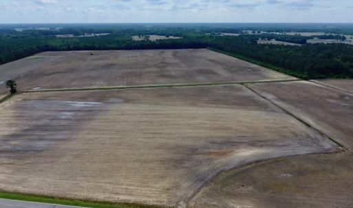 Photo of UNDER CONTRACT!  25.18 Acres of Farm Land For Sale in Wilson County NC!