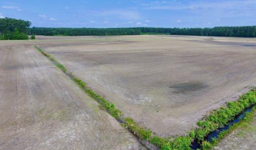 Photo of UNDER CONTRACT!  25.18 Acres of Farm Land For Sale in Wilson County NC!