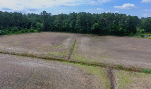 Photo of UNDER CONTRACT!  25.18 Acres of Farm Land For Sale in Wilson County NC!