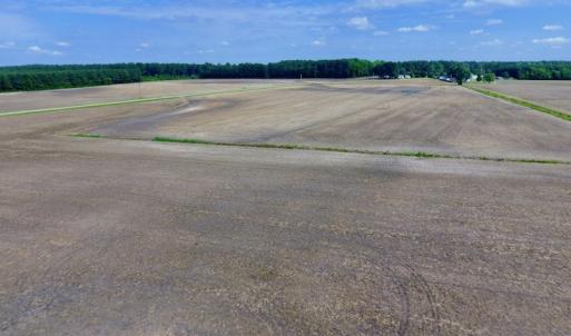 Photo of UNDER CONTRACT!  25.18 Acres of Farm Land For Sale in Wilson County NC!