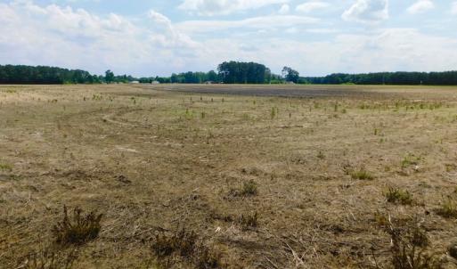 Photo of UNDER CONTRACT!  25.18 Acres of Farm Land For Sale in Wilson County NC!