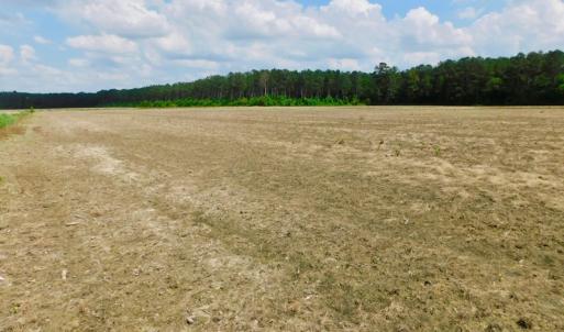 Photo of UNDER CONTRACT!  25.18 Acres of Farm Land For Sale in Wilson County NC!