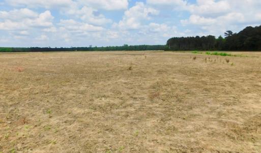 Photo of UNDER CONTRACT!  25.18 Acres of Farm Land For Sale in Wilson County NC!