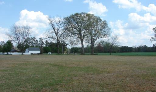 Photo of UNDER CONTRACT!  75 Acres of Farm and Timber Land For Sale in Columbus County NC!