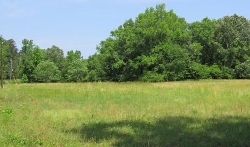 Photo of UNDER CONTRACT!  20.46 Acres of Pasture and Timber Land For Sale in Columbus County NC!