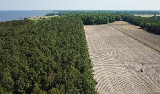 Photo of UNDER CONTRACT!  22.5 Acres of Waterfront Residential Farm Land For Sale in Currituck County NC!