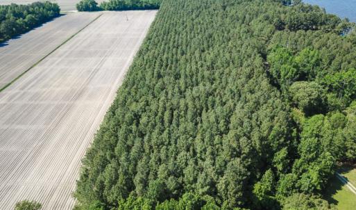 Photo of UNDER CONTRACT!  22.5 Acres of Waterfront Residential Farm Land For Sale in Currituck County NC!