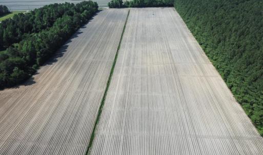 Photo of UNDER CONTRACT!  22.5 Acres of Waterfront Residential Farm Land For Sale in Currituck County NC!