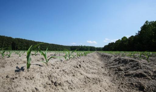 Photo of UNDER CONTRACT!  22.5 Acres of Waterfront Residential Farm Land For Sale in Currituck County NC!