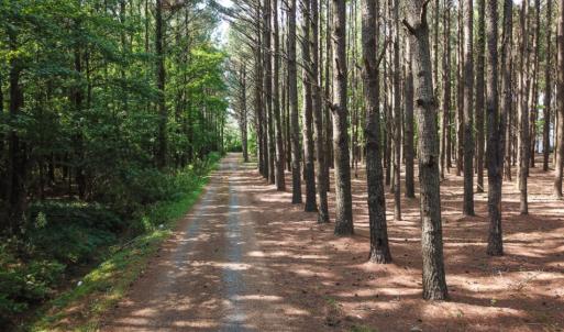 Photo of UNDER CONTRACT!  22.5 Acres of Waterfront Residential Farm Land For Sale in Currituck County NC!