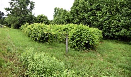 Photo of UNDER CONTRACT!  13 Acres of Rural Residential Land For Sale in Pitt County NC!