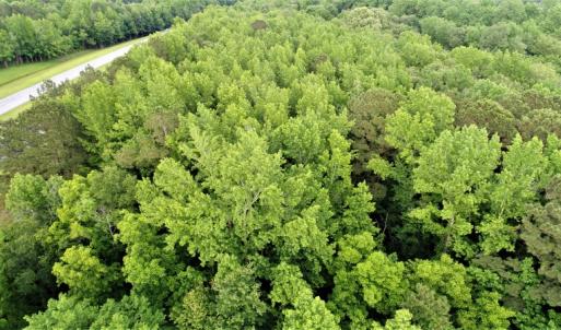 Photo of UNDER CONTRACT!  13 Acres of Rural Residential Land For Sale in Pitt County NC!