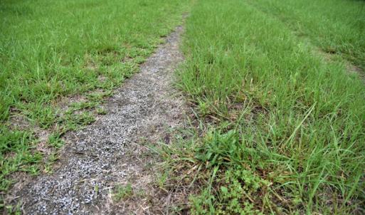 Photo of UNDER CONTRACT!  13 Acres of Rural Residential Land For Sale in Pitt County NC!