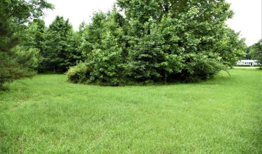Photo of UNDER CONTRACT!  13 Acres of Rural Residential Land For Sale in Pitt County NC!