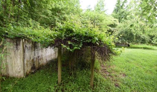 Photo of UNDER CONTRACT!  13 Acres of Rural Residential Land For Sale in Pitt County NC!