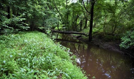Photo of UNDER CONTRACT!  13 Acres of Rural Residential Land For Sale in Pitt County NC!