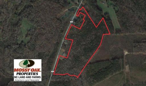 Photo of UNDER CONTRACT!  40 Acres of Timber Land For Sale in Warren County NC!