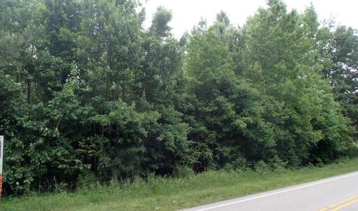 Photo of UNDER CONTRACT!  40 Acres of Timber Land For Sale in Warren County NC!
