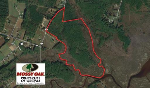 Photo of UNER CONTRACT!  109 Acres of Hunting Land for Sale in Mathews County VA!