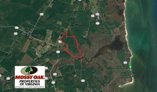 Photo of UNER CONTRACT!  109 Acres of Hunting Land for Sale in Mathews County VA!