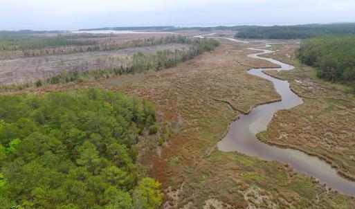 Photo of UNER CONTRACT!  109 Acres of Hunting Land for Sale in Mathews County VA!