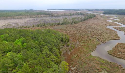 Photo of UNER CONTRACT!  109 Acres of Hunting Land for Sale in Mathews County VA!