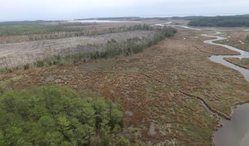 Photo of UNER CONTRACT!  109 Acres of Hunting Land for Sale in Mathews County VA!