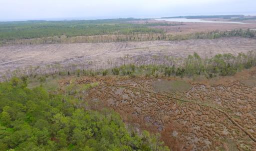 Photo of UNER CONTRACT!  109 Acres of Hunting Land for Sale in Mathews County VA!