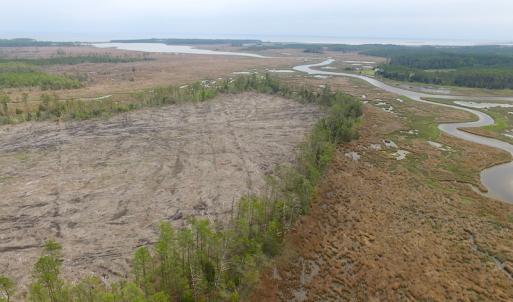 Photo of UNER CONTRACT!  109 Acres of Hunting Land for Sale in Mathews County VA!