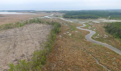 Photo of UNER CONTRACT!  109 Acres of Hunting Land for Sale in Mathews County VA!