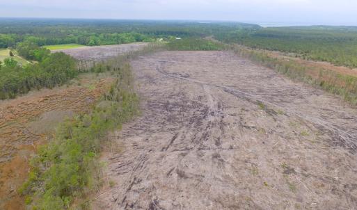 Photo of UNER CONTRACT!  109 Acres of Hunting Land for Sale in Mathews County VA!