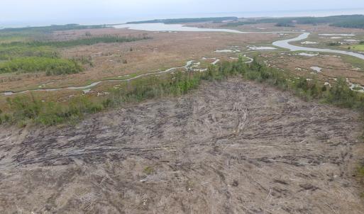 Photo of UNER CONTRACT!  109 Acres of Hunting Land for Sale in Mathews County VA!