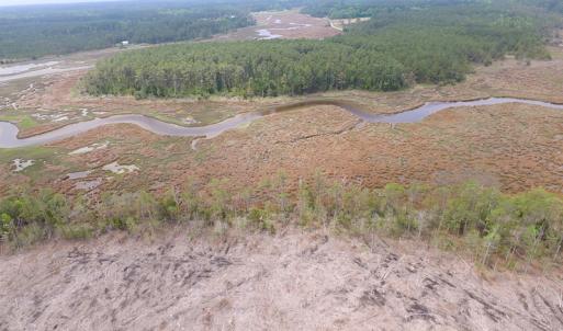 Photo of UNER CONTRACT!  109 Acres of Hunting Land for Sale in Mathews County VA!