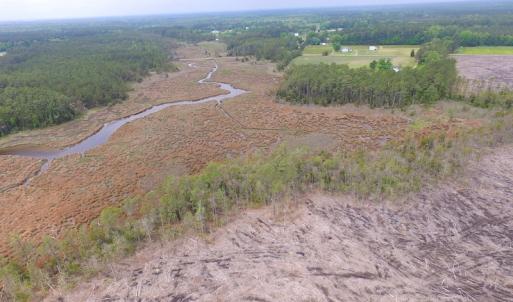 Photo of UNER CONTRACT!  109 Acres of Hunting Land for Sale in Mathews County VA!