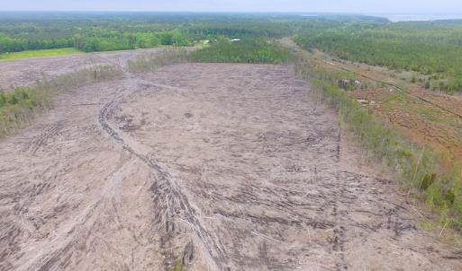 Photo of UNER CONTRACT!  109 Acres of Hunting Land for Sale in Mathews County VA!