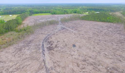 Photo of UNER CONTRACT!  109 Acres of Hunting Land for Sale in Mathews County VA!