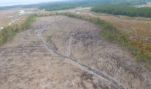 Photo of UNER CONTRACT!  109 Acres of Hunting Land for Sale in Mathews County VA!