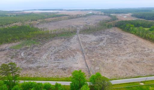 Photo of UNER CONTRACT!  109 Acres of Hunting Land for Sale in Mathews County VA!