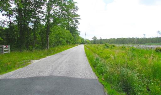 Photo of UNER CONTRACT!  109 Acres of Hunting Land for Sale in Mathews County VA!
