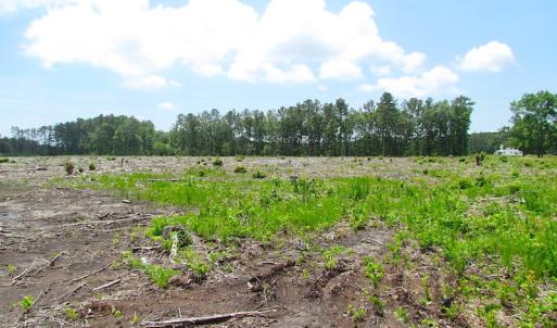 Photo of UNER CONTRACT!  109 Acres of Hunting Land for Sale in Mathews County VA!