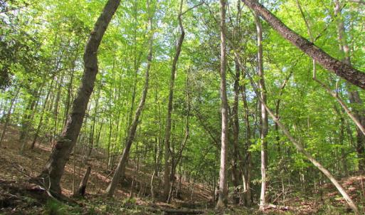 Photo of UNDER CONTRACT!  25 Acres of Land with Home in King William County VA!