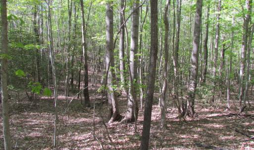 Photo of UNDER CONTRACT!  25 Acres of Land with Home in King William County VA!