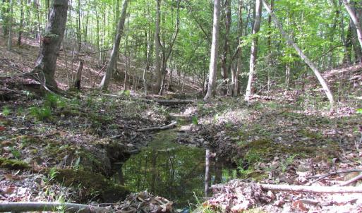 Photo of UNDER CONTRACT!  25 Acres of Land with Home in King William County VA!